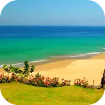 Sandy Beach Video Wallpaper icon