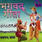 Bhagavad-Gita with Audios icon