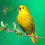 Animal & Bird Sounds Ringtones icon
