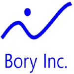 BoryRobotLauncher icon