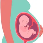 Minha gravidez e meu bebê icon