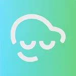 Carzen - consultas veiculares icon