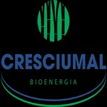 RH Cresciumal icon