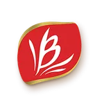 Bauducco Promotores icon