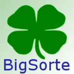 BigSorte icon