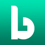 Blinknet icon