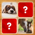 Memory Game - Domestic and Wil icon