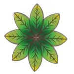Ayahu Cerimônias com Ayahuasca icon