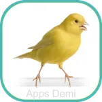 Sons Belgian Canary - Letterhe icon