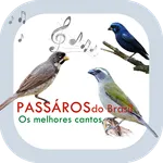 Cantos de Pássaros do Brasil icon