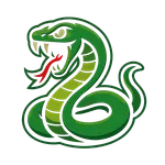 Snake Game icon