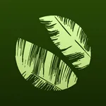 BoRa Fazenda Bananal icon