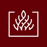 El Fuego Suítes icon