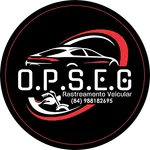 O.P.S.E.G icon