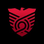 VDBRAS Segurança e Tecnologia icon