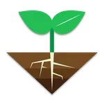 Solum icon