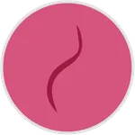 SchistoSPro icon