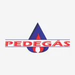 Pedegás icon