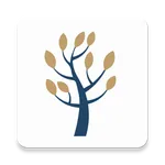 Balance icon
