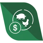 Custo Fácil icon
