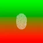 True False Detector 2D icon