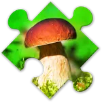 Mushrooms Puzzles:nature jigsa icon