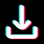 Video Downloader for TikTok icon