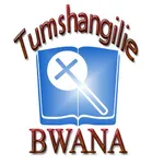 Tumshangilie Bwana icon