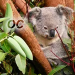 Nature - Oceania icon