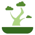 Club del Bonsái icon