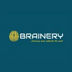 BRAINERY icon