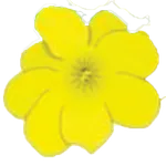 El Jazmin del Llano icon