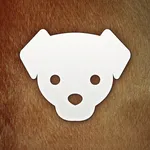 Human to Dog Translator Prank icon