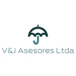 VyJ Asesores Ltda icon