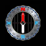 Real Compass icon