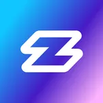 ZND icon