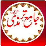 Jamia Termizi Shareef icon
