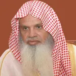 AlHudhaify Quran without net icon