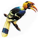COLOURFUL BIRDS icon