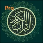 Pro Quran Translation 24 Lang. icon