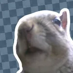 Squirrel Launcher icon