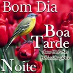 Bom Dia Tarde Noite Doce Amor icon