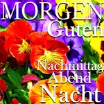 Guten Morgen Abend Gute Nacht icon