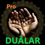 Pro Prayers from the Quran icon