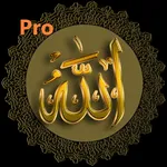 Pro Al-Asmaul Husna icon
