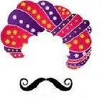 Ask Udaipur icon