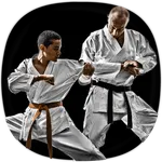 Karate Training Guide icon