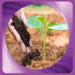 How to make organic fertilizer icon