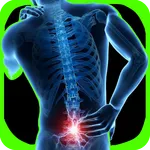 Lower Back Pain Exercises icon