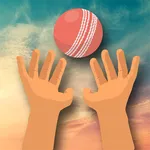 Don't Drop the Ball icon